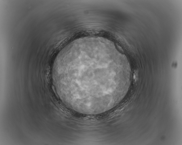 X0000094370867200711301446