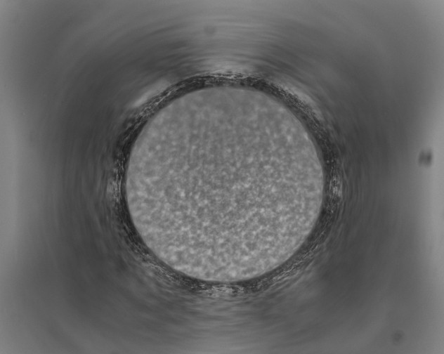 X0000094370869200711301446