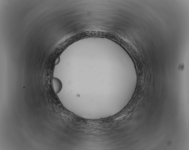 X0000094370870200711301446