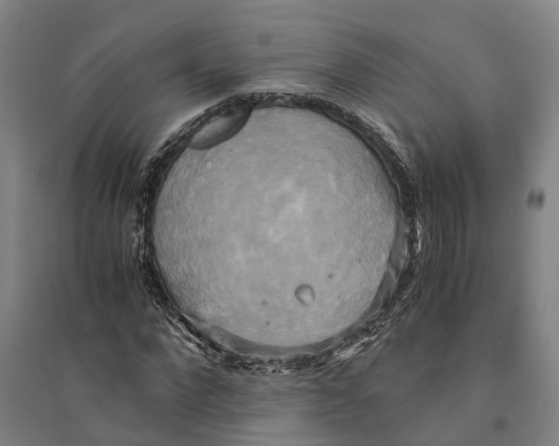 X0000094370872200711301446