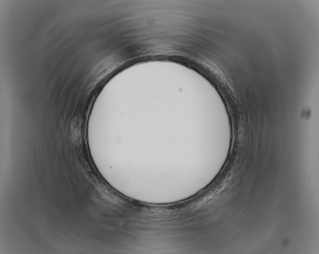 X0000094370873200711301446