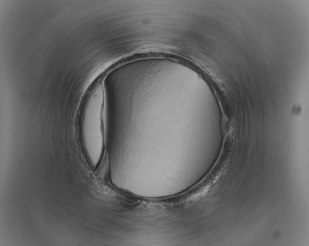 X0000094370877200711301446