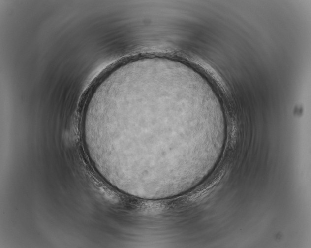 X0000094370878200711301446