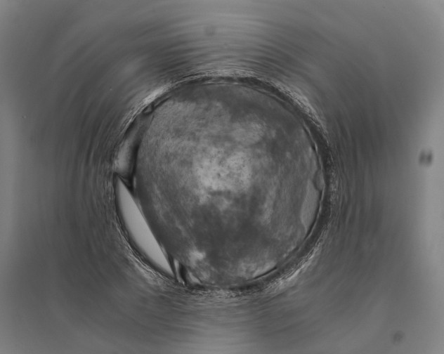 X0000094370881200711301446