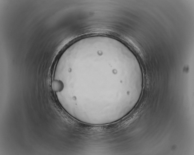 X0000094370883200711301446