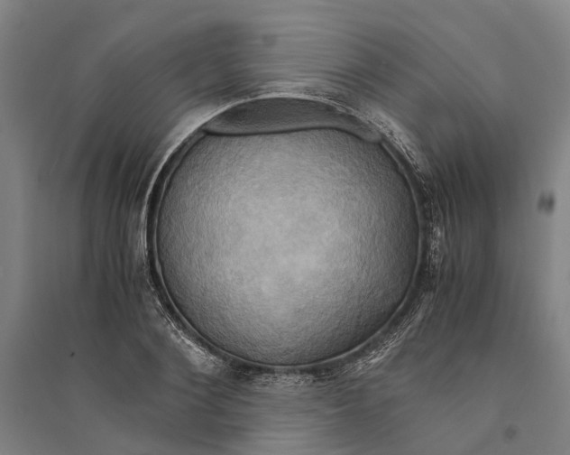 X0000094370884200711301446