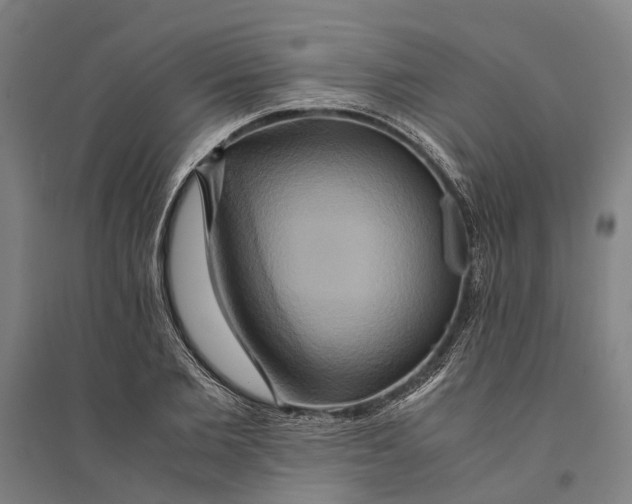 X0000094370885200711301446