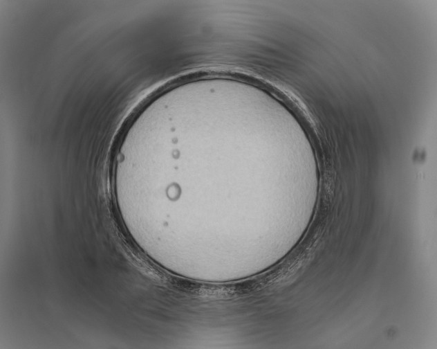 X0000094370887200711301446