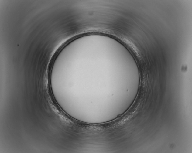 X0000094370888200711301446