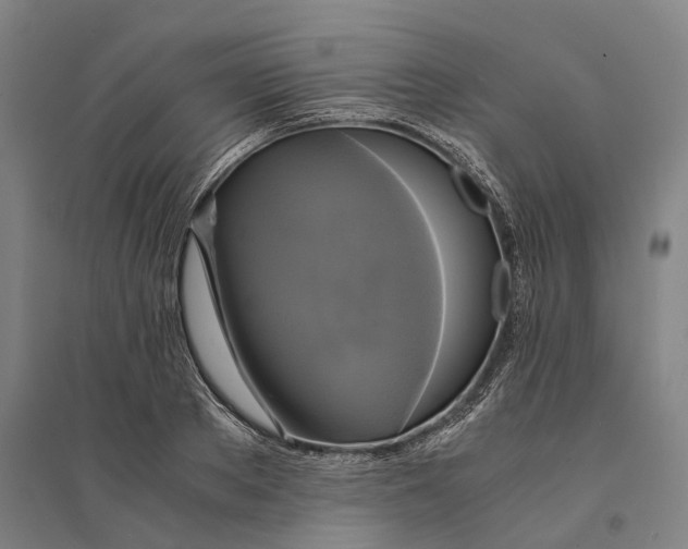 X0000094370889200711301446