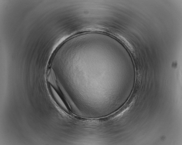 X0000094370893200711301446