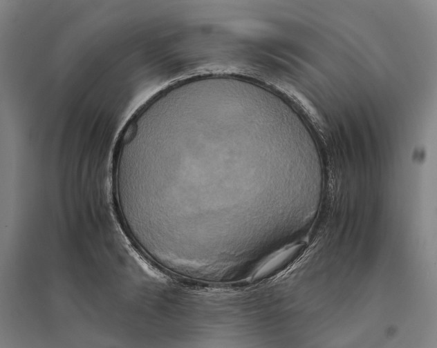 X0000094370894200711301446