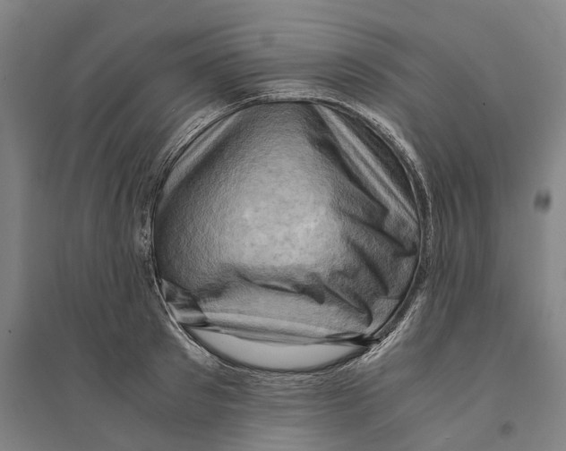 X0000094370897200711301446