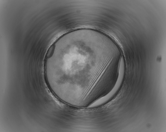 X0000094370898200711301446