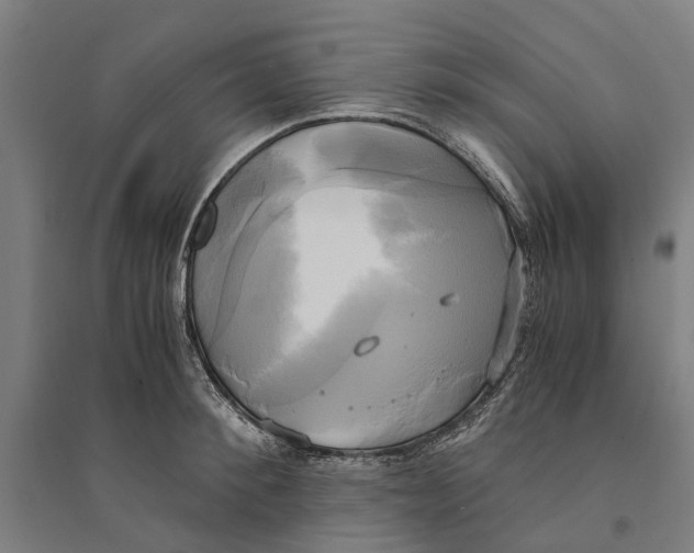 X0000094370900200711301445