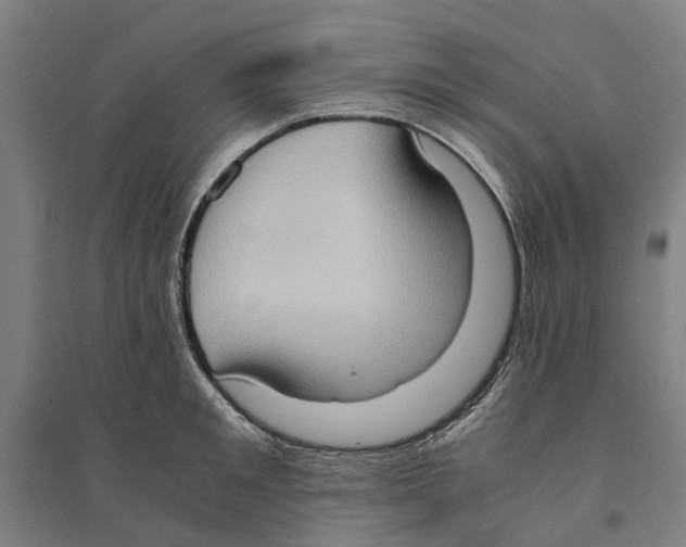 X0000094370901200711301445