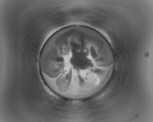 X0000094370903200711301445