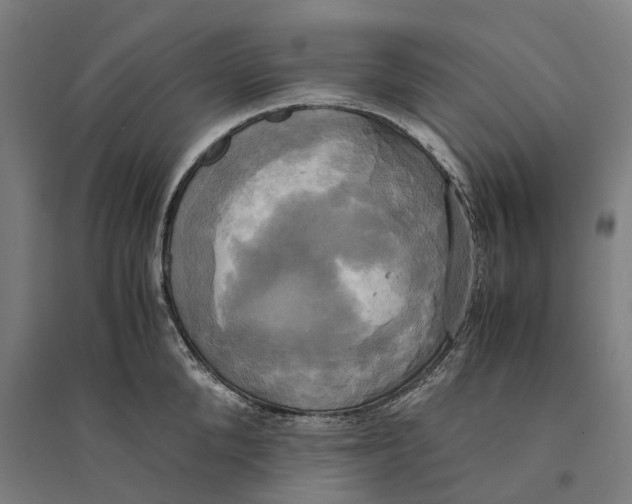 X0000094370904200711301445