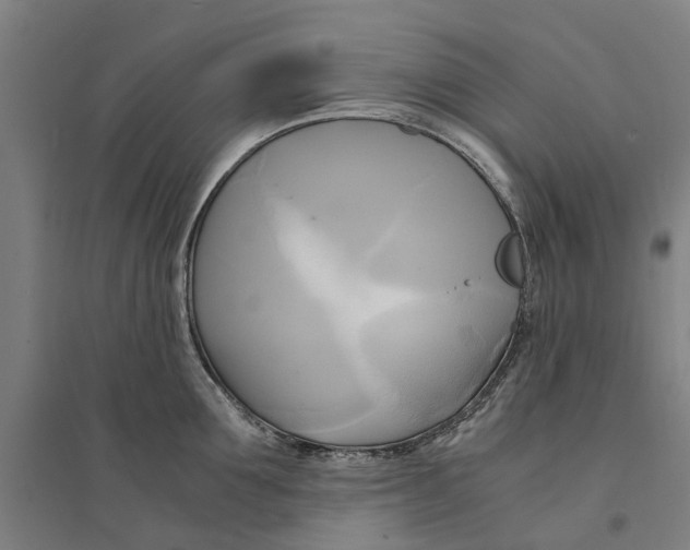 X0000094370907200711301445