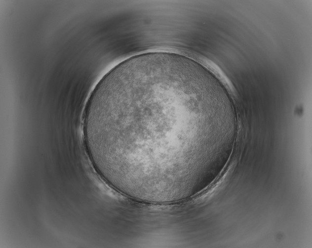 X0000094370908200711301445