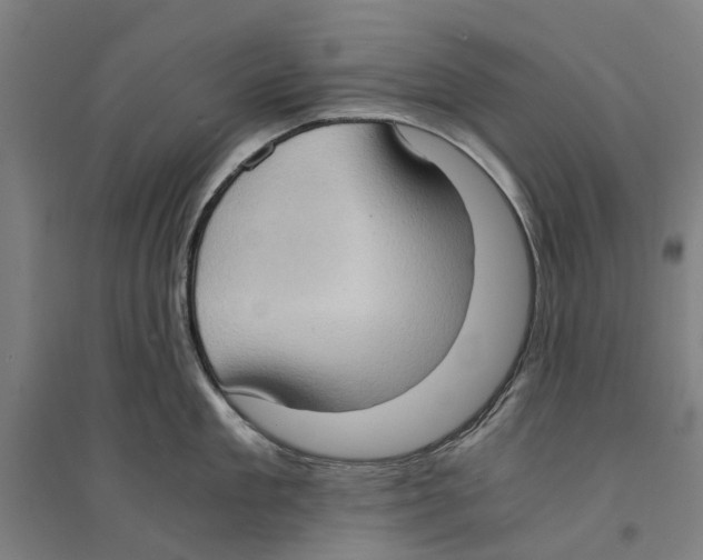 X0000094370909200711301445