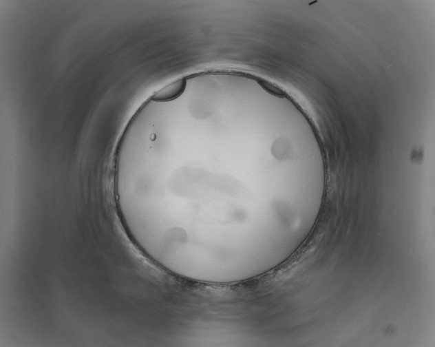 X0000094370911200711301445