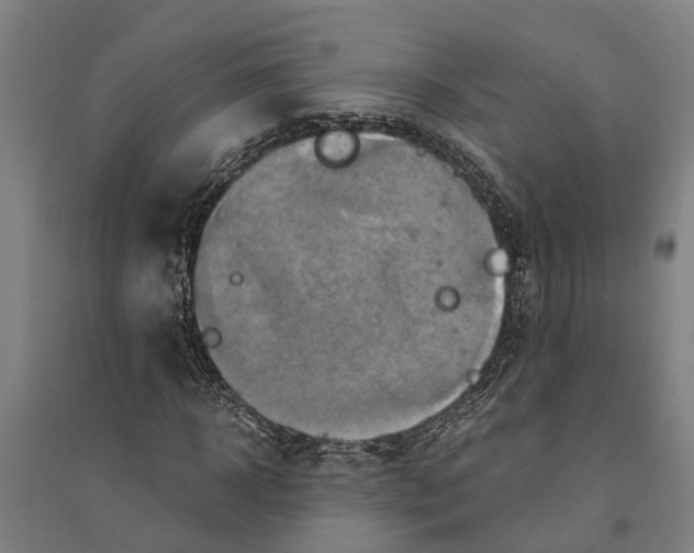 X0000094370918200711301445