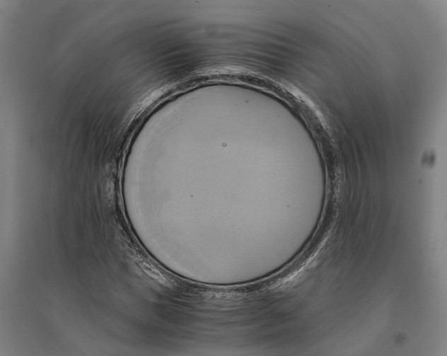 X0000094370921200711301445