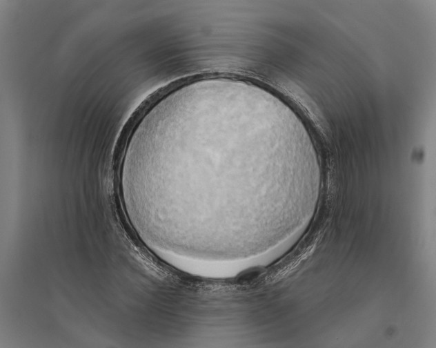 X0000094370924200711301445