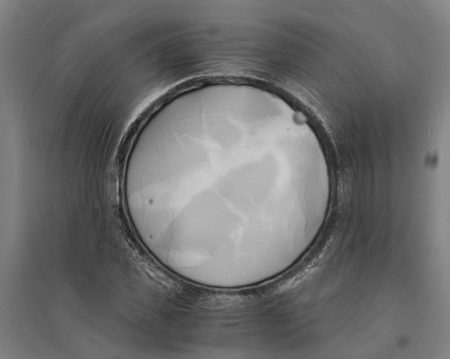 X0000094370925200711301445