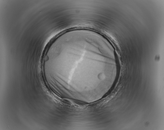 X0000094370928200711301445