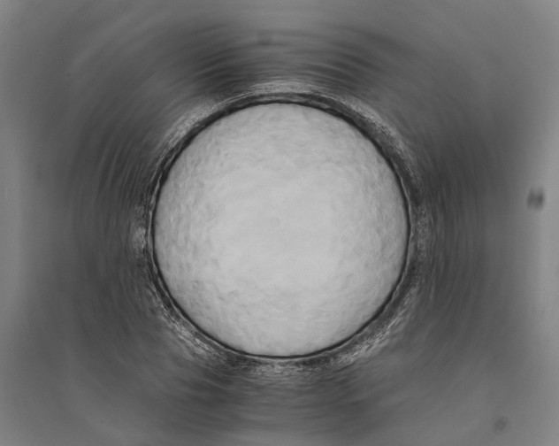 X0000094370929200711301445