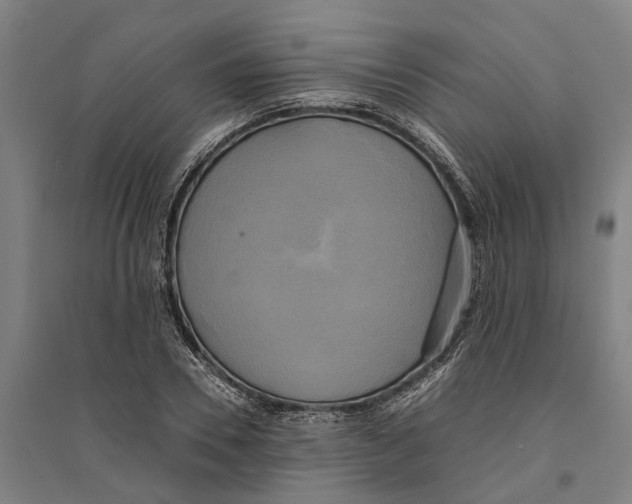 X0000094370930200711301445