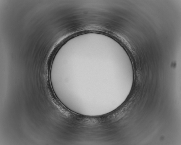 X0000094370931200711301445