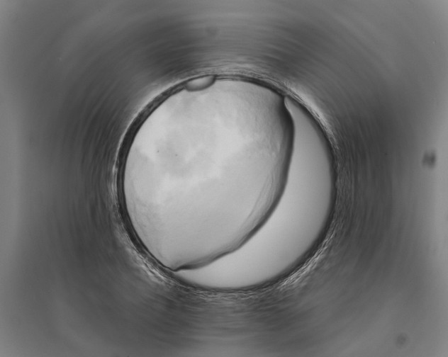 X0000094370932200711301445