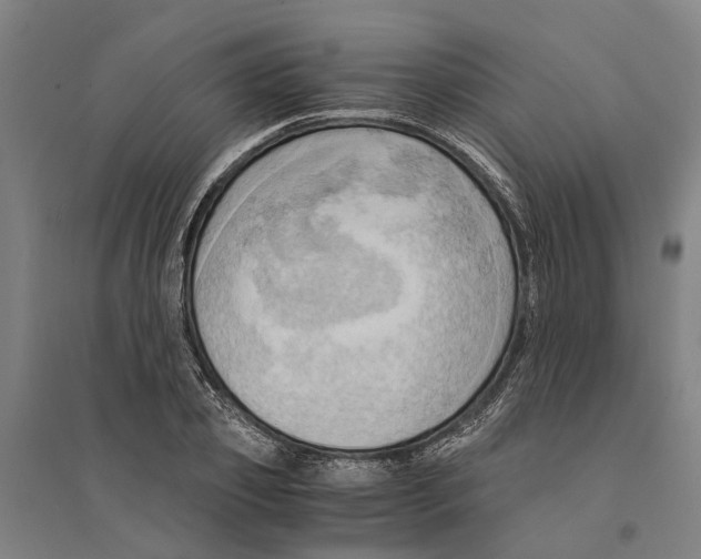 X0000094370933200711301445