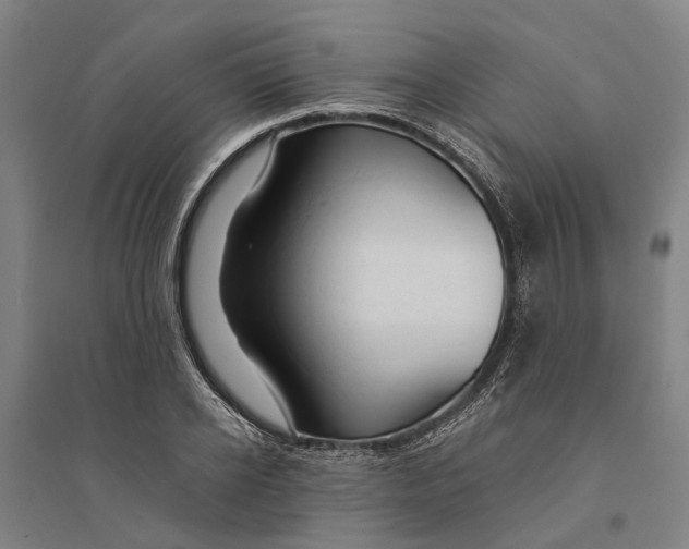 X0000094370934200711301445