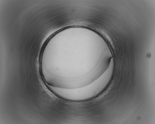 X0000094370936200711301445