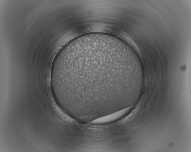 X0000094370938200711301445