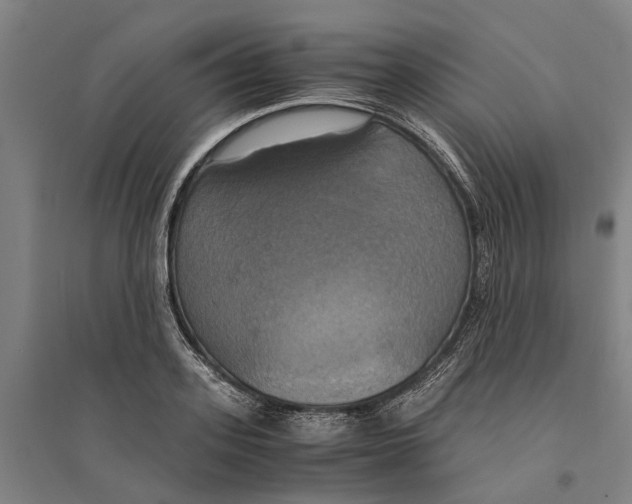 X0000094370939200711301445