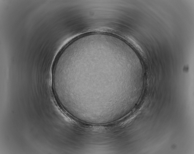 X0000094370940200711301445