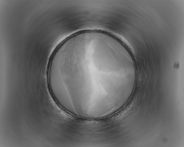 X0000094370943200711301445