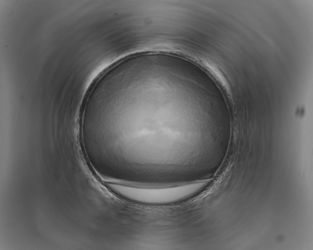 X0000094370944200711301445