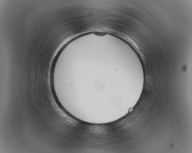 X0000094370947200711301445