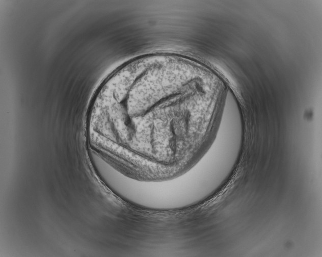 X0000094370948200711301445