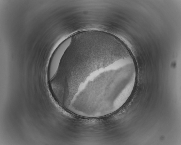 X0000094370949200711301445