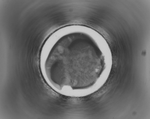 X0000094370950200711301445