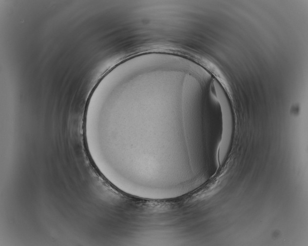 X0000094370954200711301445