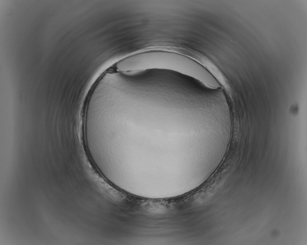 X0000094370955200711301445