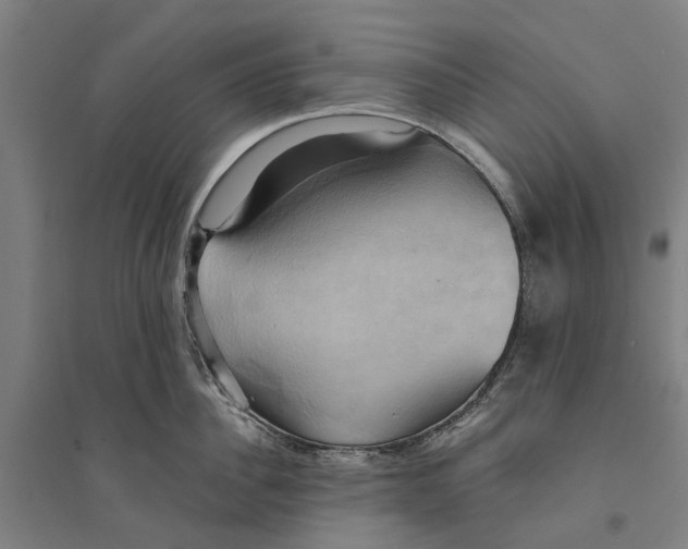 X0000094370956200711301445